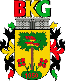 BKG Logo